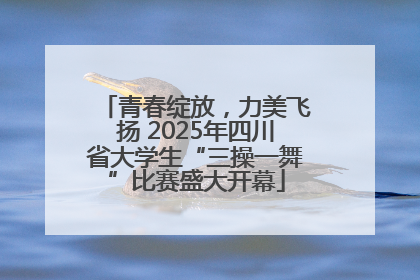 青春绽放，力美飞扬 2025年四川省大学生“三操一舞”比赛盛大开幕