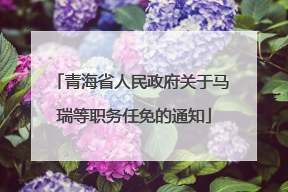 青海省人民政府关于马瑞等职务任免的通知