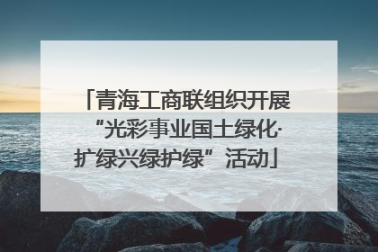 青海工商联组织开展“光彩事业国土绿化·扩绿兴绿护绿”活动