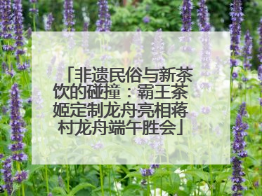 非遗民俗与新茶饮的碰撞：霸王茶姬定制龙舟亮相蒋村龙舟端午胜会