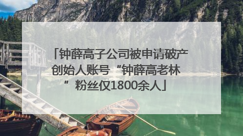 钟薛高子公司被申请破产 创始人账号“钟薛高老林”粉丝仅1800余人
