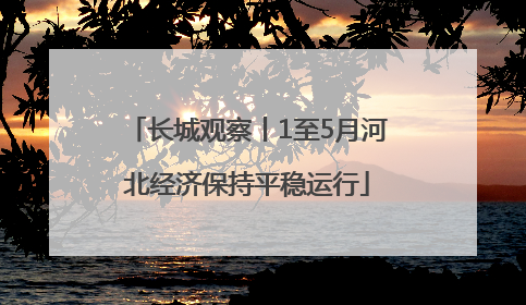 长城观察丨1至5月河北经济保持平稳运行