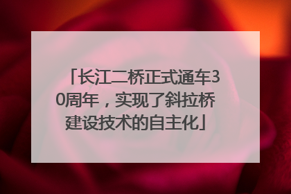 长江二桥正式通车30周年，实现了斜拉桥建设技术的自主化