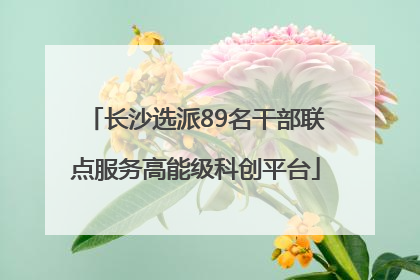 长沙选派89名干部联点服务高能级科创平台