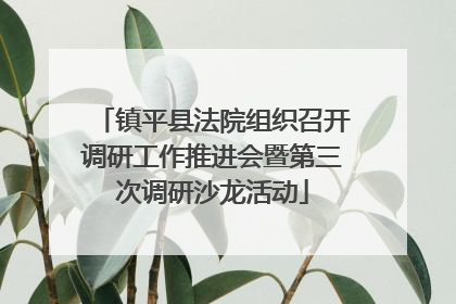 镇平县法院组织召开调研工作推进会暨第三次调研沙龙活动