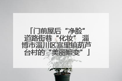 门前屋后“净脸” 道路街巷“化妆” 淄博市淄川区寨里镇葫芦台村的“美丽嬗变”
