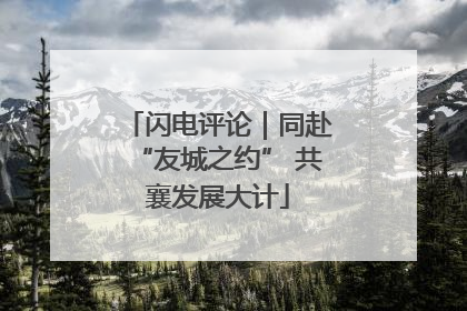闪电评论｜同赴“友城之约” 共襄发展大计