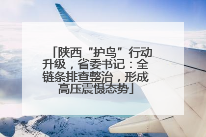 陕西“护鸟”行动升级，省委书记：全链条排查整治，形成高压震慑态势