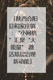 陕西合阳县和家庄镇：“小网格”汇聚“大能量” 激活基层治理新动能