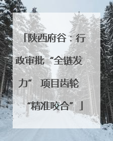 陕西府谷：行政审批“全链发力” 项目齿轮“精准咬合”