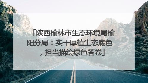 陕西榆林市生态环境局榆阳分局：实干厚植生态底色，担当描绘绿色答卷