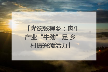 隆德张程乡：肉牛产业“牛劲”足 乡村振兴添活力