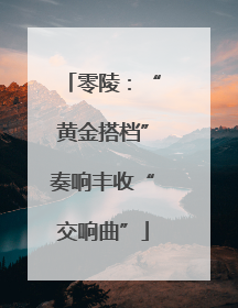 零陵：“黄金搭档”奏响丰收“交响曲”