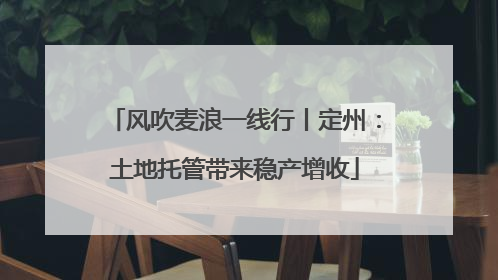 风吹麦浪一线行丨定州：土地托管带来稳产增收