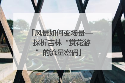 风景如何变场景——探析吉林“赏花游”的流量密码