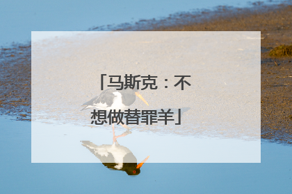 马斯克：不想做替罪羊