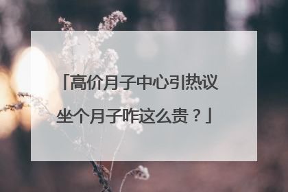 高价月子中心引热议 坐个月子咋这么贵？