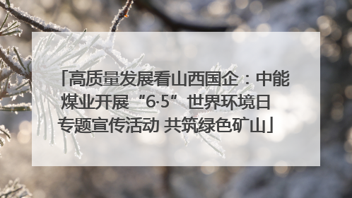 高质量发展看山西国企：中能煤业开展“6·5”世界环境日专题宣传活动 共筑绿色矿山
