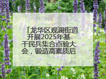 龙华区观澜街道开展2025年基干民兵集合点验大会，锻造高素质后备力量