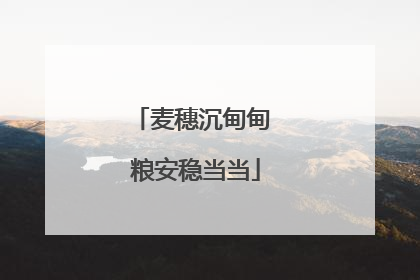 麦穗沉甸甸 粮安稳当当
