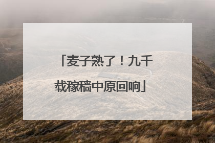 麦子熟了！九千载稼穑中原回响
