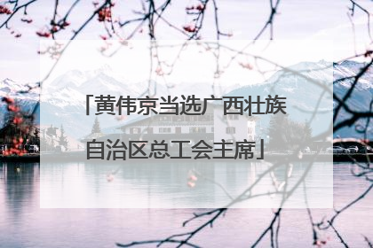 黄伟京当选广西壮族自治区总工会主席