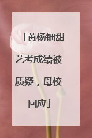 黄杨钿甜艺考成绩被质疑，母校回应