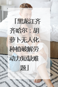 黑龙江齐齐哈尔：胡萝卜无人化种植破解劳动力短缺难题