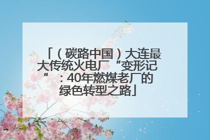 （碳路中国）大连最大传统火电厂“变形记”：40年燃煤老厂的绿色转型之路