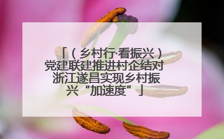 （乡村行·看振兴）党建联建推进村企结对 浙江遂昌实现乡村振兴“加速度”