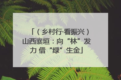 （乡村行·看振兴）山西襄垣：向“林”发力 借“绿”生金