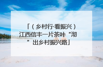 （乡村行·看振兴）江西信丰一片茶叶“沏”出乡村振兴路