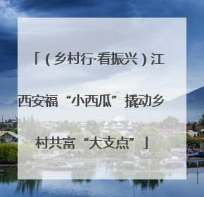 （乡村行·看振兴）江西安福“小西瓜”撬动乡村共富“大支点”