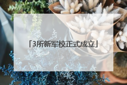 3所新军校正式成立
