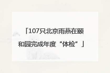 107只北京雨燕在颐和园完成年度“体检”