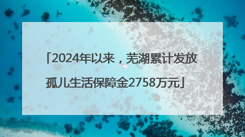 2024年以来，芜湖累计发放孤儿生活保障金2758万元