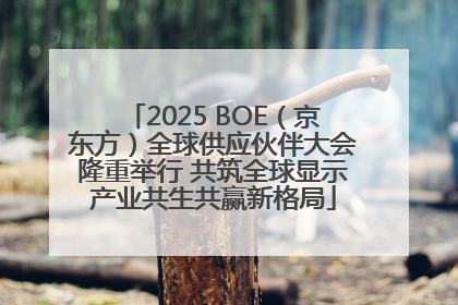2025 BOE（京东方）全球供应伙伴大会隆重举行 共筑全球显示产业共生共赢新格局