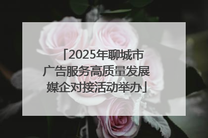 2025年聊城市广告服务高质量发展媒企对接活动举办