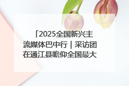 2025全国新兴主流媒体巴中行｜采访团在通江县瞻仰全国最大红军烈士陵园