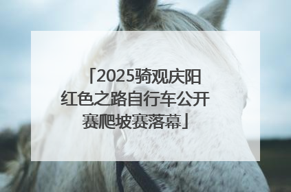 2025骑观庆阳红色之路自行车公开赛爬坡赛落幕