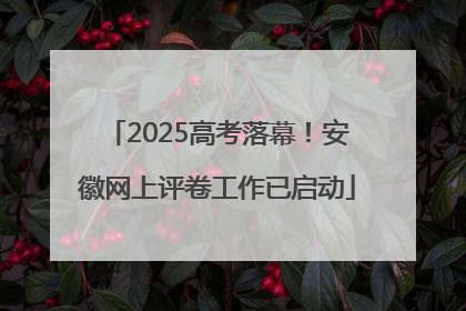 2025高考落幕！安徽网上评卷工作已启动
