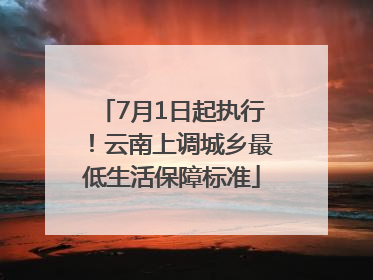 7月1日起执行！云南上调城乡最低生活保障标准