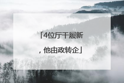4位厅干履新，他由政转企