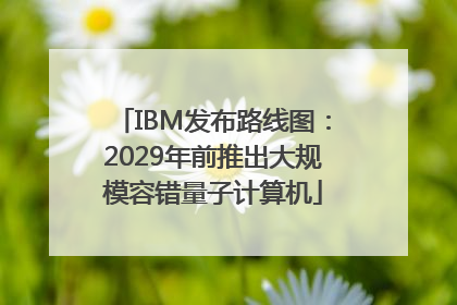 IBM发布路线图：2029年前推出大规模容错量子计算机